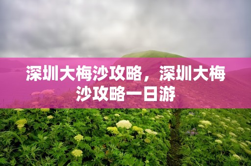 深圳大梅沙攻略，深圳大梅沙攻略一日游