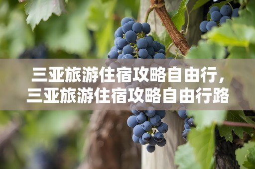 三亚旅游住宿攻略自由行，三亚旅游住宿攻略自由行路线