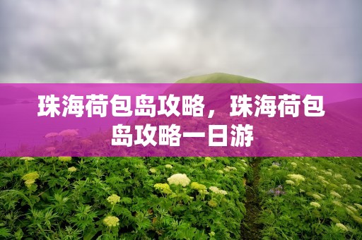 珠海荷包岛攻略，珠海荷包岛攻略一日游