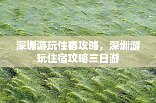 深圳游玩住宿攻略，深圳游玩住宿攻略三日游