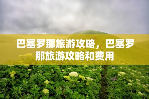 巴塞罗那旅游攻略，巴塞罗那旅游攻略和费用