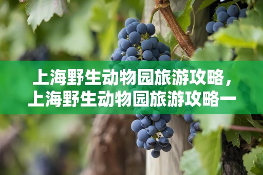 上海野生动物园旅游攻略，上海野生动物园旅游攻略一日游
