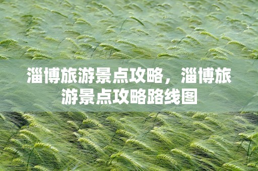 淄博旅游景点攻略，淄博旅游景点攻略路线图