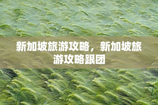 新加坡旅游攻略，新加坡旅游攻略跟团