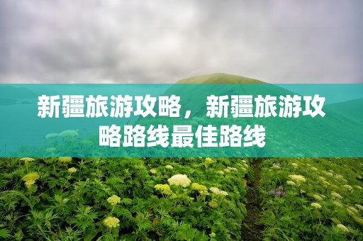 新疆旅游攻略，新疆旅游攻略路线最佳路线