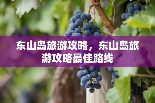 东山岛旅游攻略，东山岛旅游攻略最佳路线
