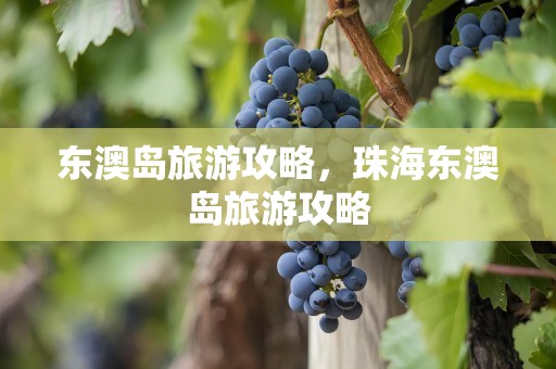 东澳岛旅游攻略，珠海东澳岛旅游攻略