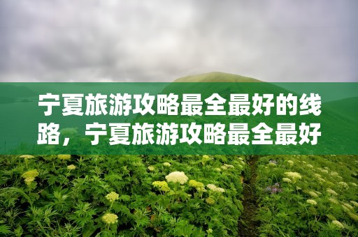 宁夏旅游攻略最全最好的线路，宁夏旅游攻略最全最好的线路图