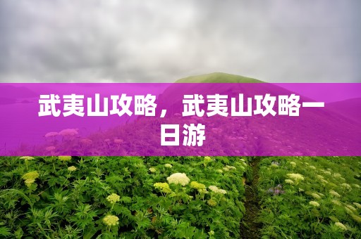武夷山攻略，武夷山攻略一日游