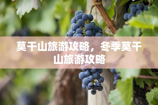 莫干山旅游攻略，冬季莫干山旅游攻略