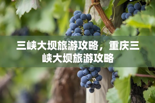 三峡大坝旅游攻略，重庆三峡大坝旅游攻略