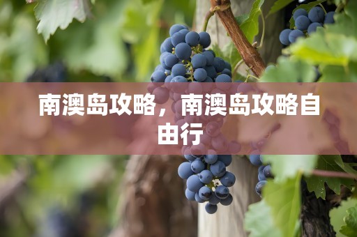 南澳岛攻略，南澳岛攻略自由行