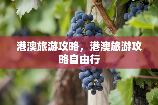 港澳旅游攻略，港澳旅游攻略自由行