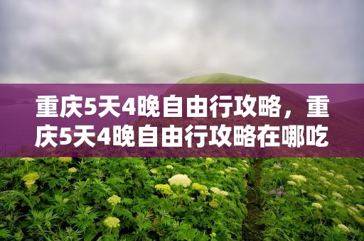 重庆5天4晚自由行攻略，重庆5天4晚自由行攻略在哪吃在哪住