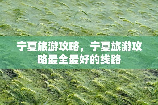 宁夏旅游攻略，宁夏旅游攻略最全最好的线路