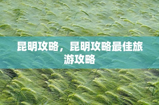 昆明攻略，昆明攻略最佳旅游攻略
