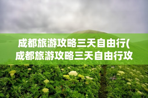 成都旅游攻略三天自由行(成都旅游攻略三天自由行攻略)