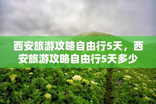西安旅游攻略自由行5天，西安旅游攻略自由行5天多少钱