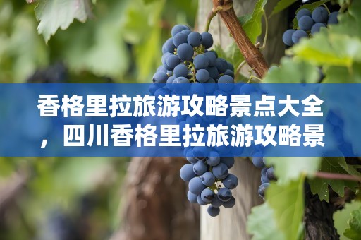 香格里拉旅游攻略景点大全，四川香格里拉旅游攻略景点大全
