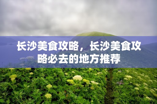 长沙美食攻略，长沙美食攻略必去的地方推荐