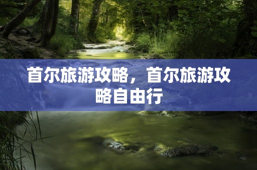 首尔旅游攻略，首尔旅游攻略自由行