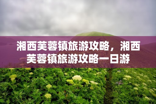 湘西芙蓉镇旅游攻略，湘西芙蓉镇旅游攻略一日游