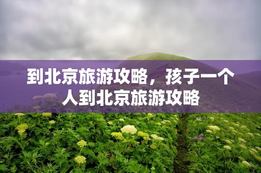 到北京旅游攻略，孩子一个人到北京旅游攻略