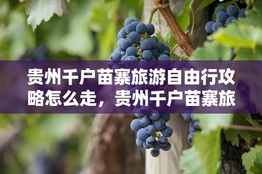 贵州千户苗寨旅游自由行攻略怎么走，贵州千户苗寨旅游自由行攻略怎么走,马蜂窝