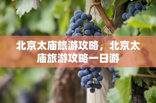 北京太庙旅游攻略，北京太庙旅游攻略一日游