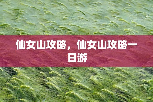 仙女山攻略，仙女山攻略一日游