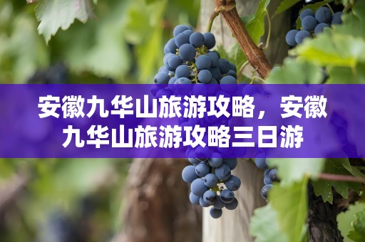 安徽九华山旅游攻略，安徽九华山旅游攻略三日游