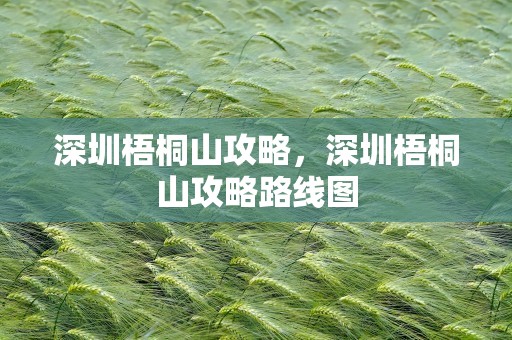 深圳梧桐山攻略，深圳梧桐山攻略路线图