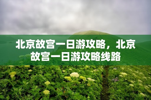北京故宫一日游攻略，北京故宫一日游攻略线路