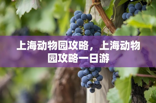 上海动物园攻略，上海动物园攻略一日游