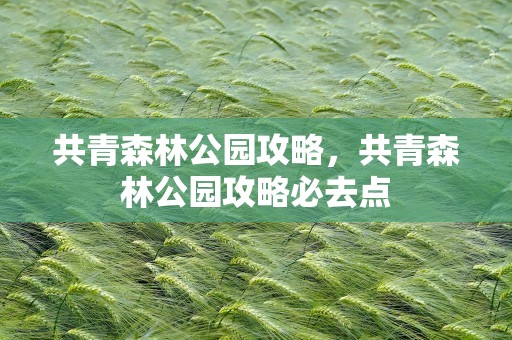共青森林公园攻略，共青森林公园攻略必去点