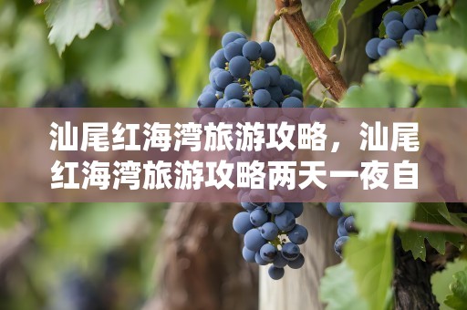 汕尾红海湾旅游攻略，汕尾红海湾旅游攻略两天一夜自驾游