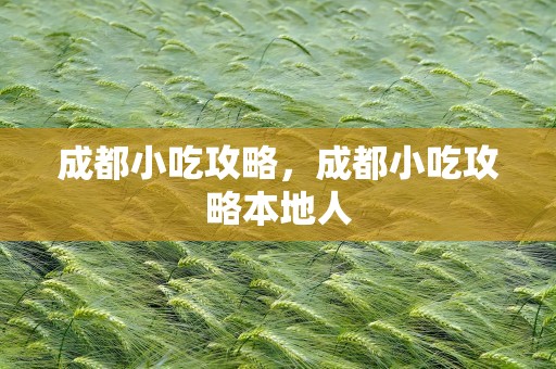 成都小吃攻略，成都小吃攻略本地人