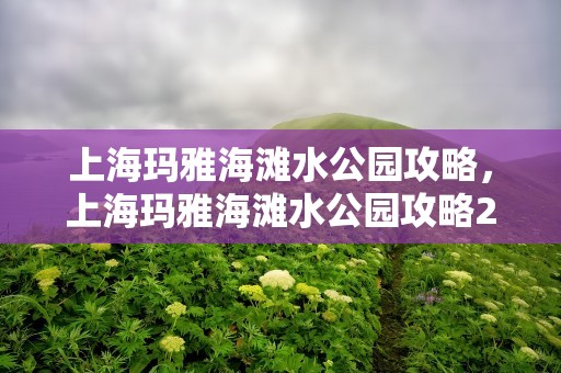 上海玛雅海滩水公园攻略，上海玛雅海滩水公园攻略2020