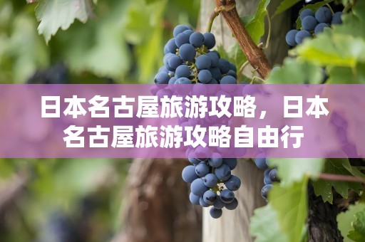 日本名古屋旅游攻略，日本名古屋旅游攻略自由行