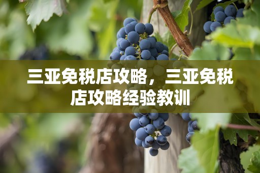 三亚免税店攻略，三亚免税店攻略经验教训