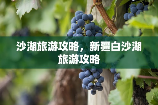 沙湖旅游攻略，新疆白沙湖旅游攻略