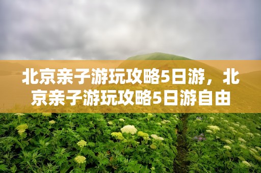北京亲子游玩攻略5日游，北京亲子游玩攻略5日游自由行