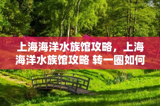 上海海洋水族馆攻略，上海海洋水族馆攻略 转一圈如何再回去