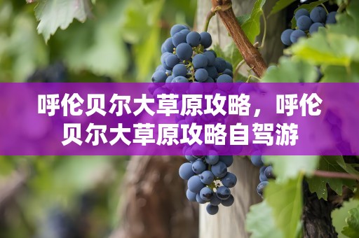 呼伦贝尔大草原攻略，呼伦贝尔大草原攻略自驾游