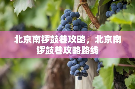 北京南锣鼓巷攻略，北京南锣鼓巷攻略路线