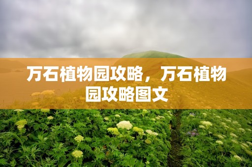 万石植物园攻略，万石植物园攻略图文
