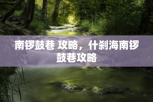 南锣鼓巷 攻略，什刹海南锣鼓巷攻略