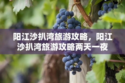 阳江沙扒湾旅游攻略，阳江沙扒湾旅游攻略两天一夜