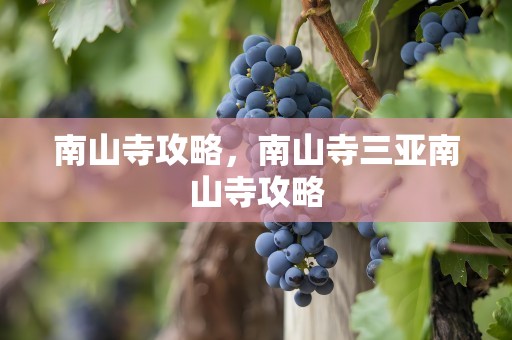 南山寺攻略，南山寺三亚南山寺攻略