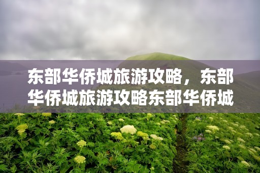 东部华侨城旅游攻略，东部华侨城旅游攻略东部华侨城
